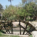 Tour to Fayoum Oasis from Cairo 