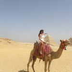 Cairo and The Nile Tour Package