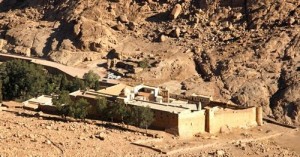 saint catherine monastery day tour