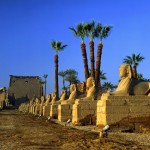 egypt custom tours