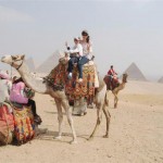Cairo Day Tour from Alexandria Port